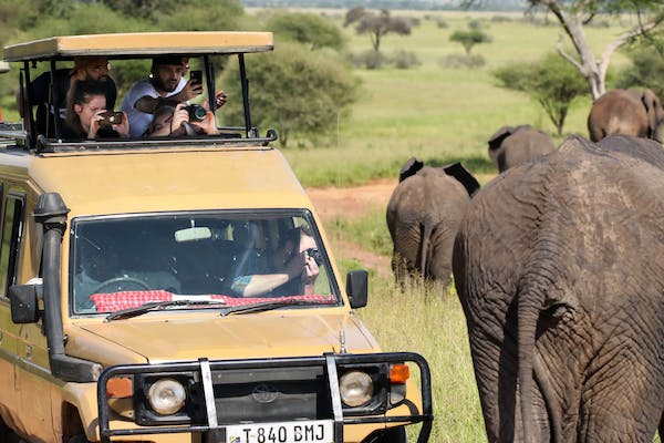 The Magic of an African Safari Vacation